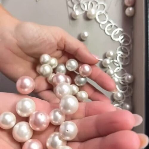 488850044_1298629631203269_4070544181224764134_n